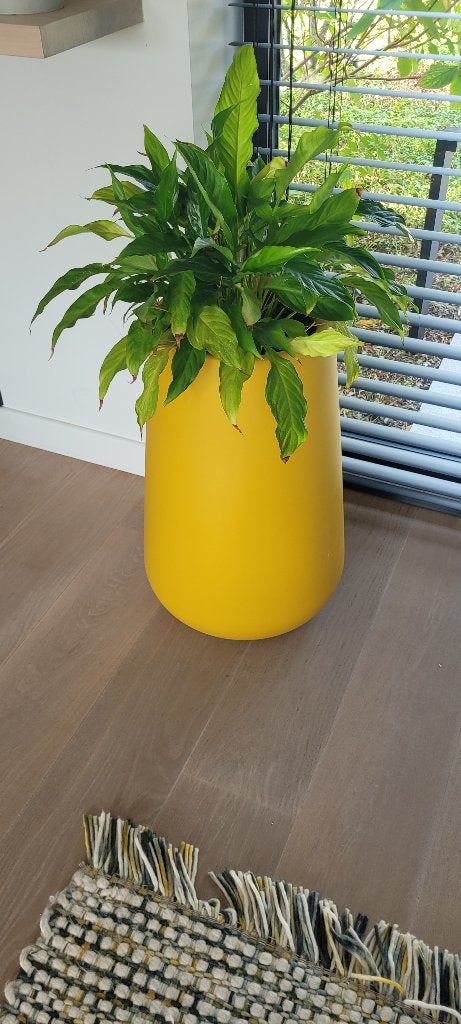 Hippe bloempot met plant, Tuin en Terras, Bloempotten, Kunststof, Binnen, Zo goed als nieuw, Overige vormen