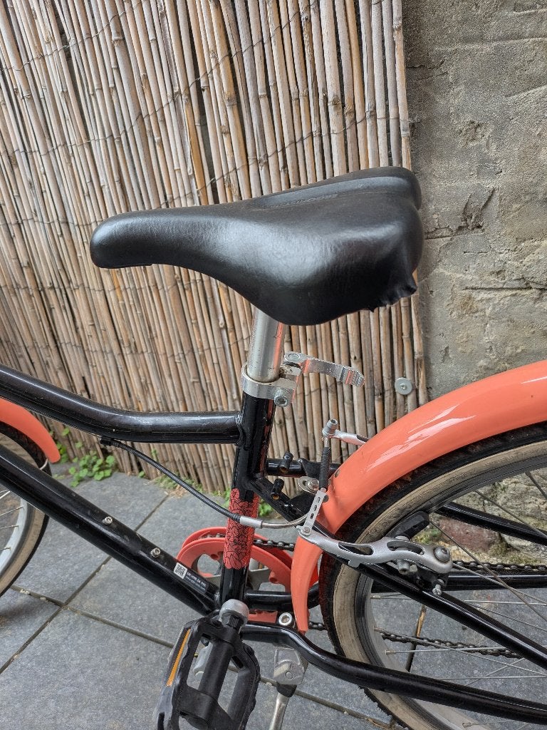 Vélo, RIVERSIDE, Enlèvement, Frein sur jante, 24 pouces