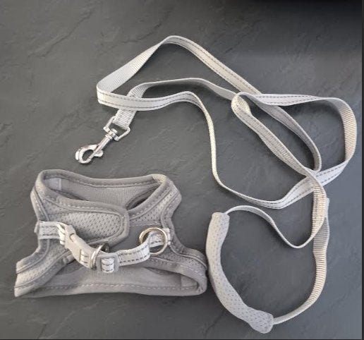 Ensemble harnais & laisse pour chat/chien XXS Neuf, Animaux & Accessoires, Enlèvement ou Envoi, Neuf, Laisse pour chien