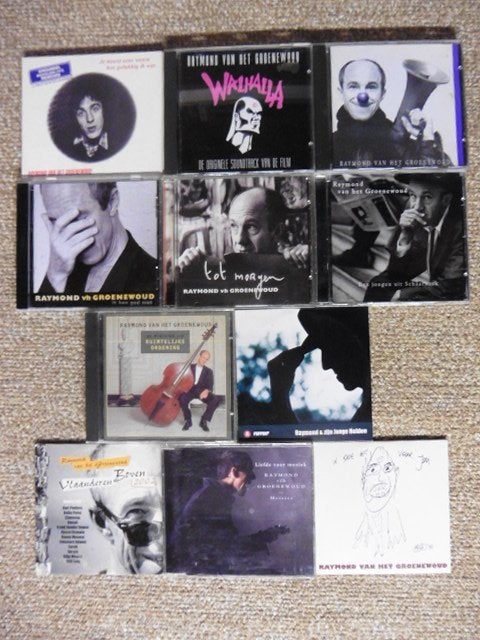 Raymond van het Groenewoud cd Collectie // Voordeelpakket, CD & DVD, CD | Néerlandophone, Enlèvement ou Envoi, Comme neuf, Rock