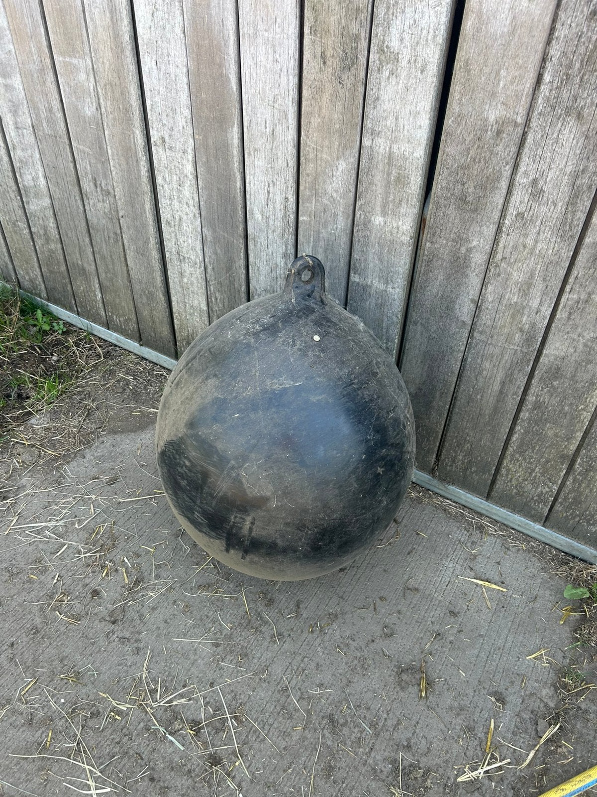 Bal voor dazenval, Dieren en Toebehoren