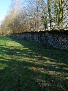 Brandhout, 6 m³ ou plus, Enlèvement, Hêtre, Troncs d'arbres