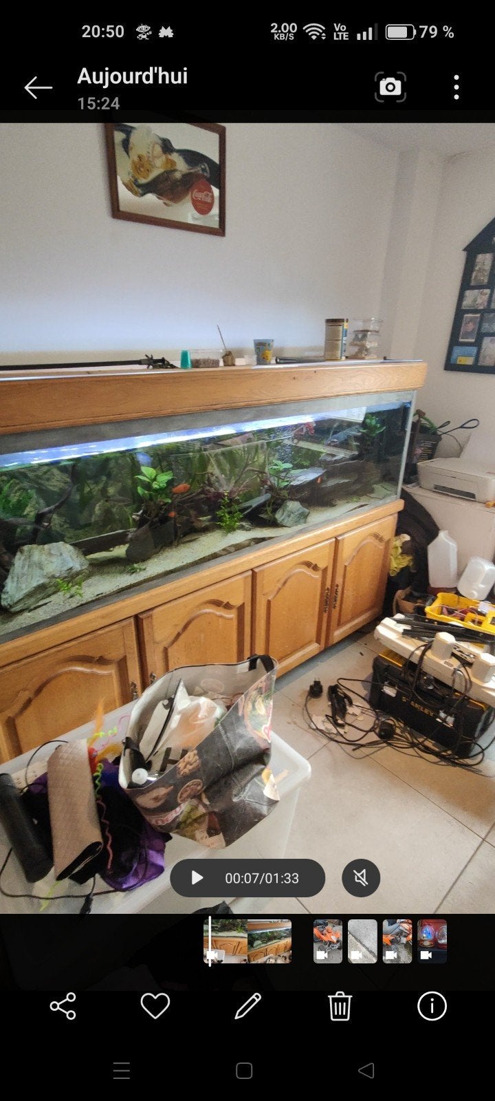 aquarium complet, Animaux & Accessoires, Enlèvement, Poissons inclus
