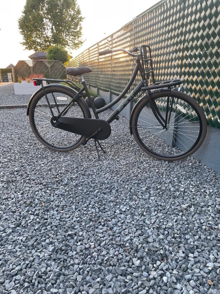 Fietsen, Vélos & Vélomoteurs, Vélos | Femmes | Vélos pour femme, Enlèvement, Neuf