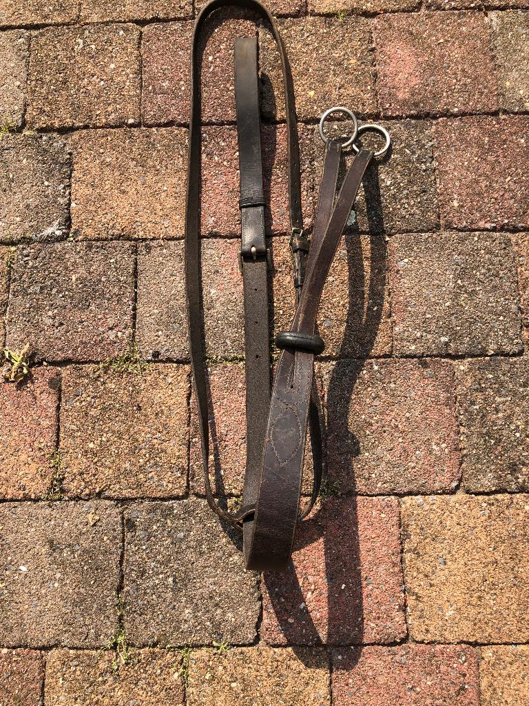 Martingaal paard, Ophalen
