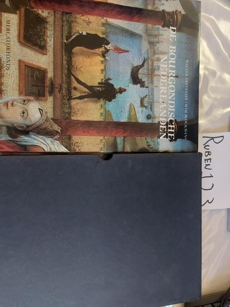 De Bourgondische Nederlanden, Boeken, Ophalen of Verzenden, Zo goed als nieuw