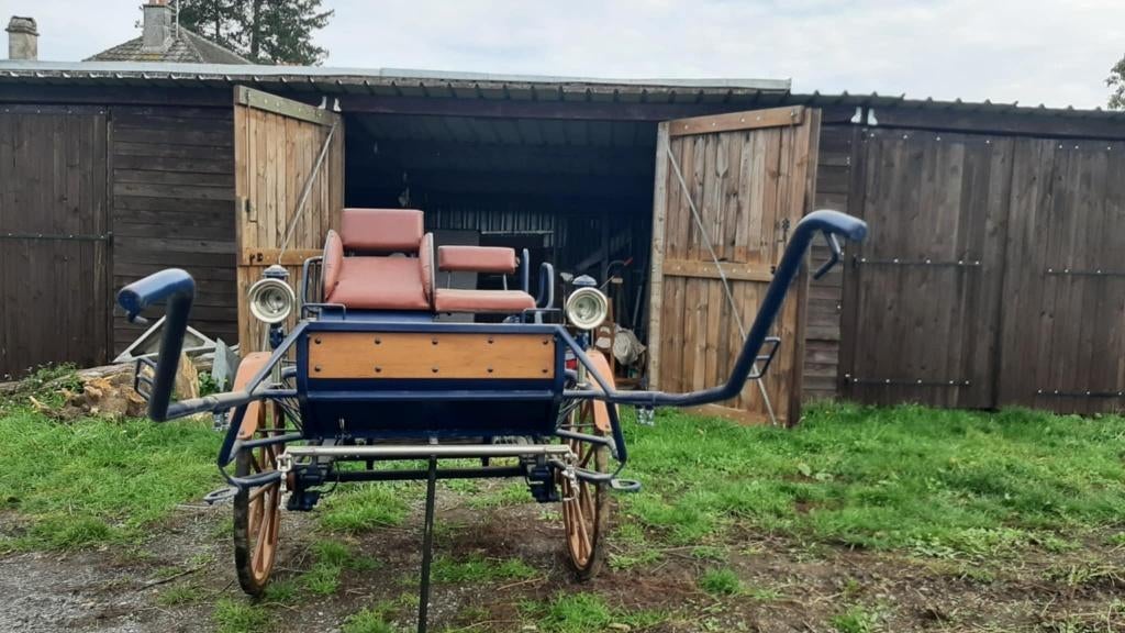 Calèche, Comme neuf, Autres types, Cheval ou Poney