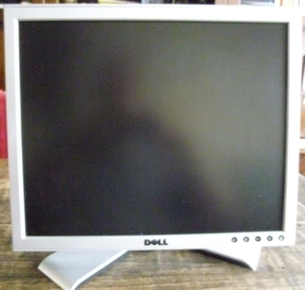 Dell 1707 FPt Monitor, Computers en Software, Ophalen