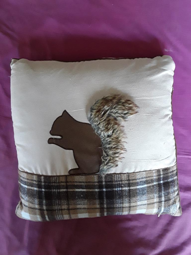 coussin avec écureuil dessus, Maison & Meubles, Enlèvement ou Envoi, Comme neuf, Blanc, Carré