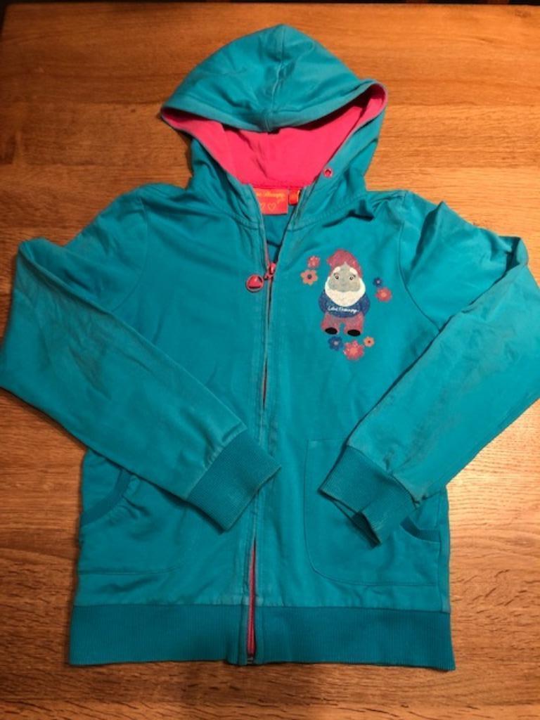 Love Therapy turquoise sweater met kap en rits 12 jaar, Gebruikt, Meisje, Trui of Vest, Ophalen of Verzenden