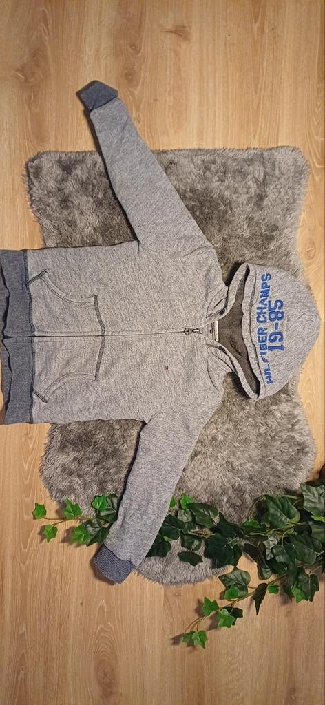 Pull Tommy Hilfiger taille 116, Garçon, Pull ou Veste, Comme neuf, Tommy Hilfiger