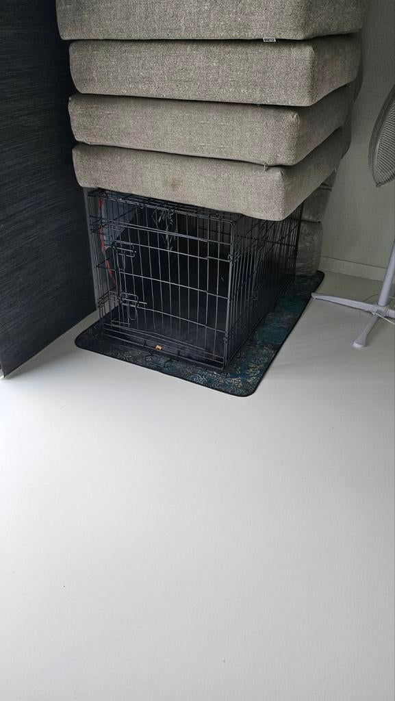 Banc pour chien de taille moyenne à grande, Enlèvement