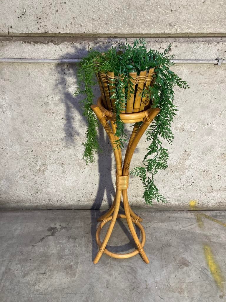 Bamboe plantenstaander, Ophalen, X, X, X