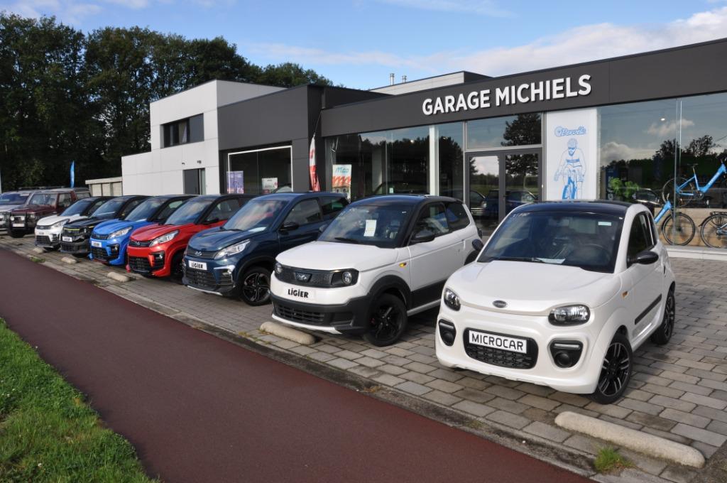 Ligier/Microcar, Overige kleuren, Bedrijf, Diesel, Te koop