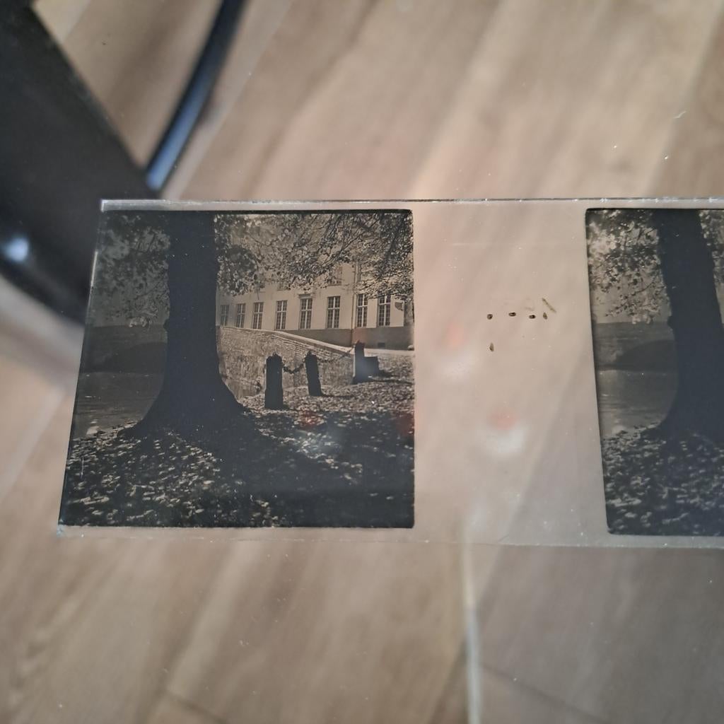 Foto glasnegatieven, Ophalen of Verzenden