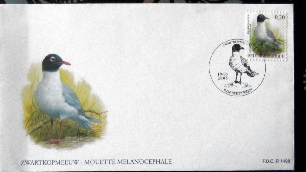 FIRST DAY COVER- VOGELS VAN BUZIN- DE ZWARTKOPMEEUW, Enlèvement ou Envoi, Affranchi, Animal et Nature