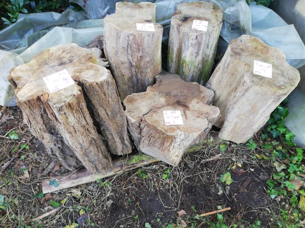 Robinia wild hard en zeer duurzaam Belgisch hout., Tuin en Terras, Palen, Balken en Planken, Hardhout, Ophalen