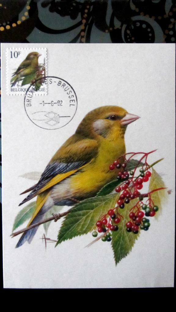FIRST DAY OP KAART- VOGELS VAN BUZIN- DE GROENLING, Ophalen of Verzenden, Gestempeld, Dier of Natuur