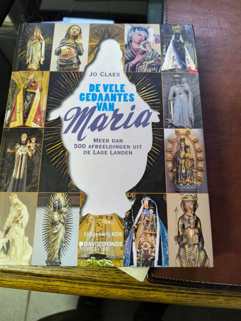 De vele gedaantes van Maria, Ophalen of Verzenden