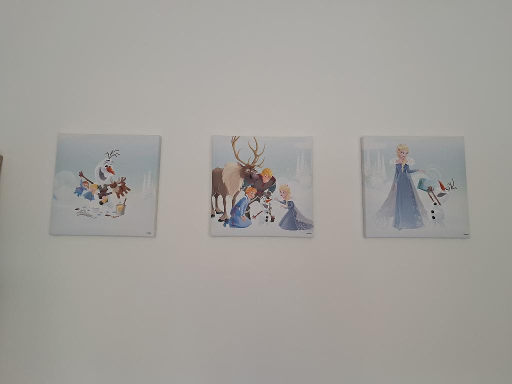 3 kaders Frozen, Kinderen en Baby's, Ophalen of Verzenden, Zo goed als nieuw, Wanddecoratie
