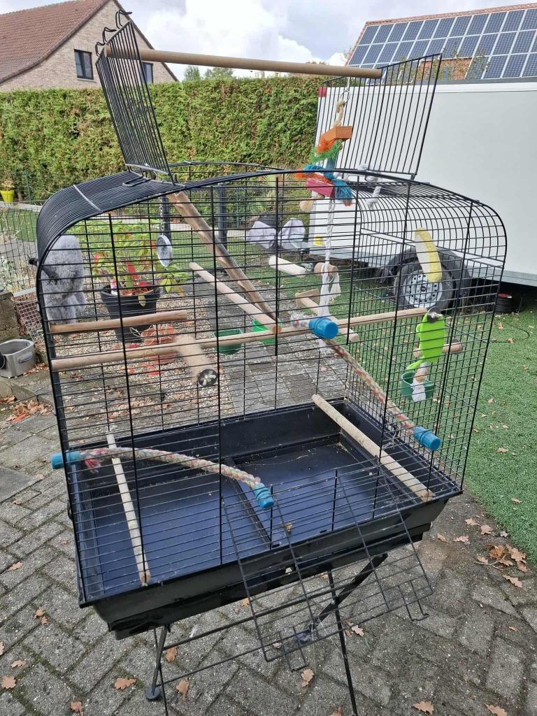 vogelkooi voor parkietjes en of dwergpapegaaien op voetstuk, Ophalen, Zo goed als nieuw, Metaal, Vogelkooi