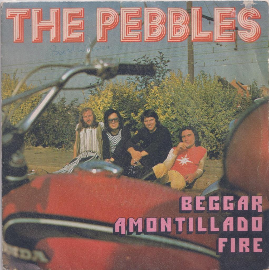 The Pebbles – Beggar / Amontillado fire - Single, Enlèvement ou Envoi, Single, Utilisé, Pop