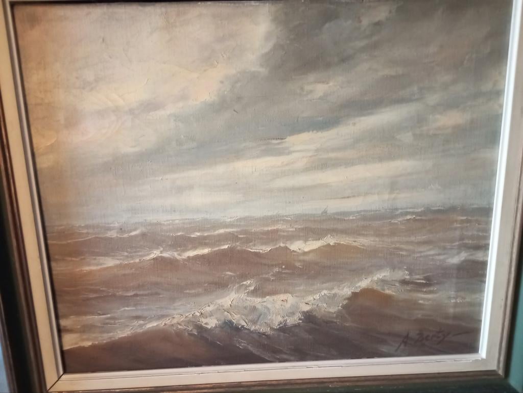 Anne Berty. Woeste zee, Ophalen of Verzenden