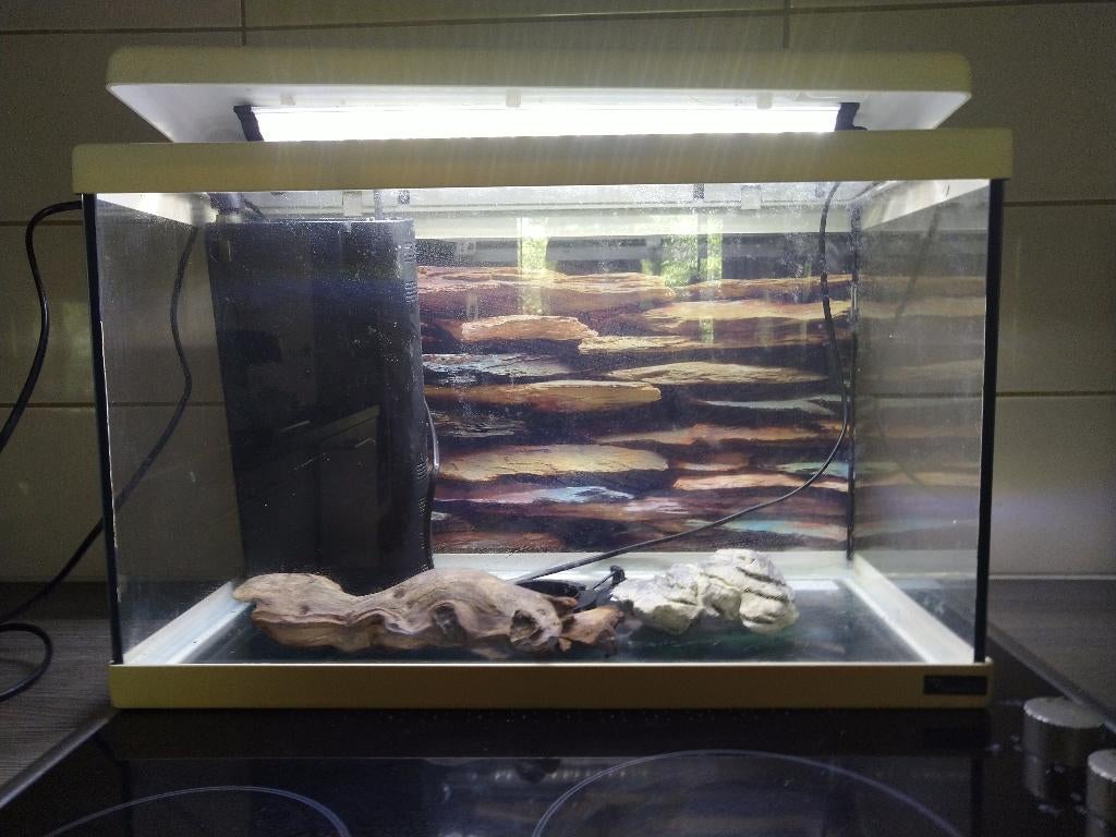 vissen, Dieren en Toebehoren, Ophalen, Gebruikt, Leeg aquarium