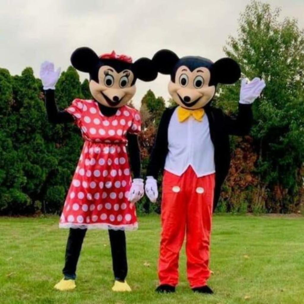 Mickey en Minnie mouse mascotte te huur, Ophalen, Gebruikt, Kostuum