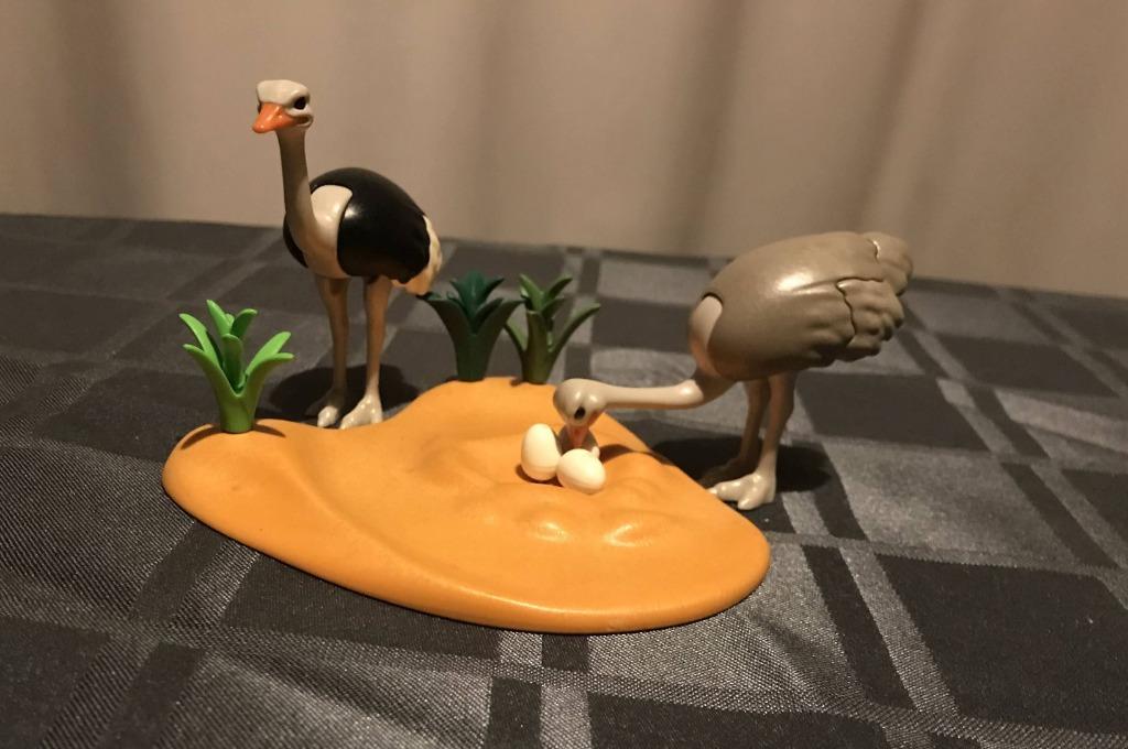 Playmobil 4831 Safari struisvogelnest, Kinderen en Baby's, Speelgoed | Playmobil, Ophalen, Zo goed als nieuw