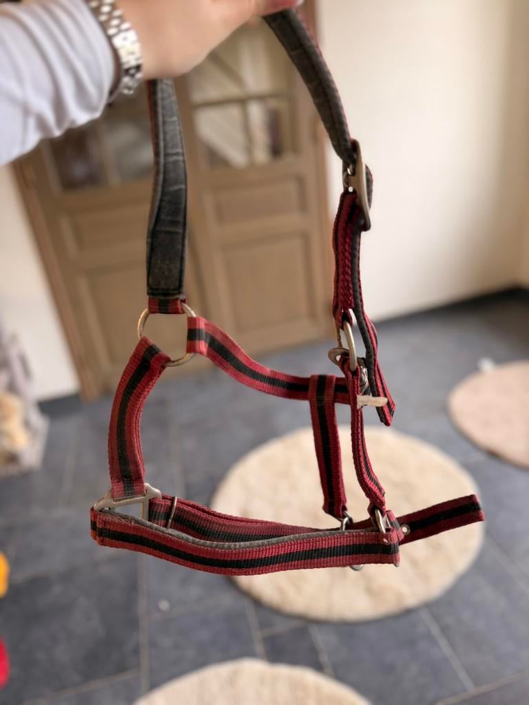 Licol rouge, Animaux & Accessoires, Enlèvement ou Envoi, Comme neuf