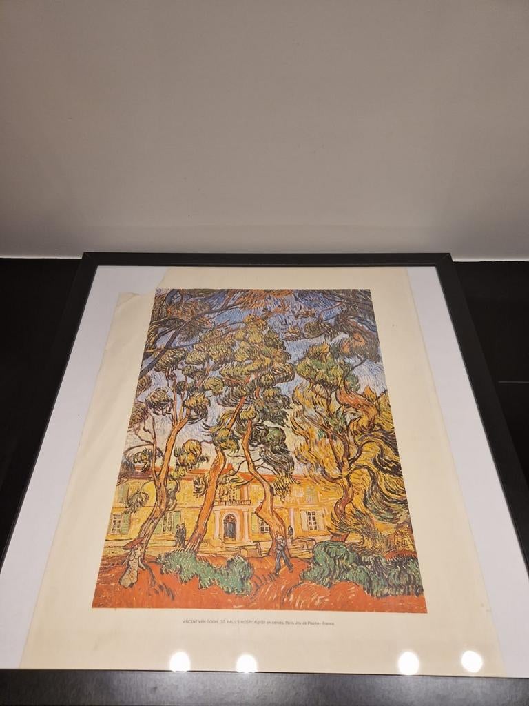 Vincent van Gogh St.Paul Hospital litho, Ophalen of Verzenden