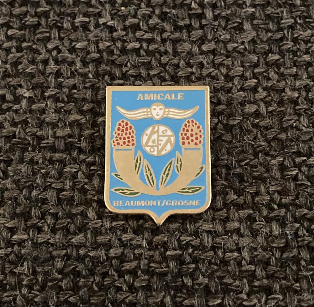 PIN - AMICALE - BEAUMONT - GROSNE - UIL - CHOUETTE, Envoi, Utilisé, Autres sujets/thèmes, Insigne ou Pin's