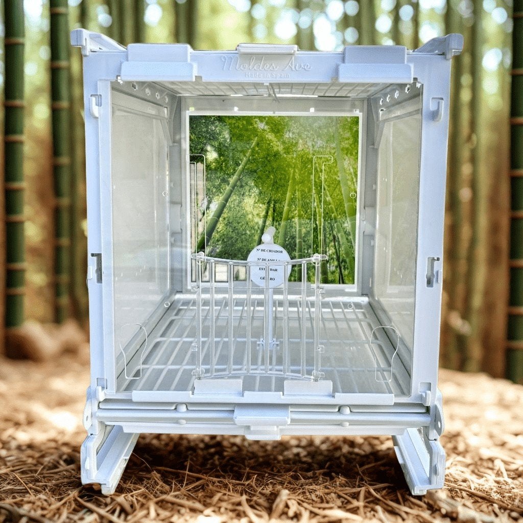 Cage pour photos et cage de présentation - MA Cage - Moldes, Animaux & Accessoires, Enlèvement, Neuf, Synthétique, Autres types