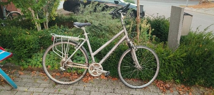 Studentenfiets /damesfiets, Ophalen, Giant