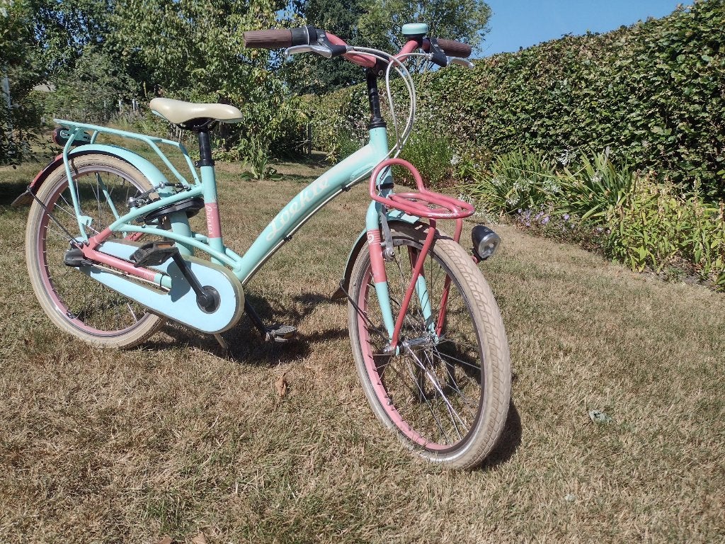Meisjesfiets Loekie prinses 22 inch, Fietsen en Brommers, Ophalen, Terugtraprem, 22 inch, Gebruikt