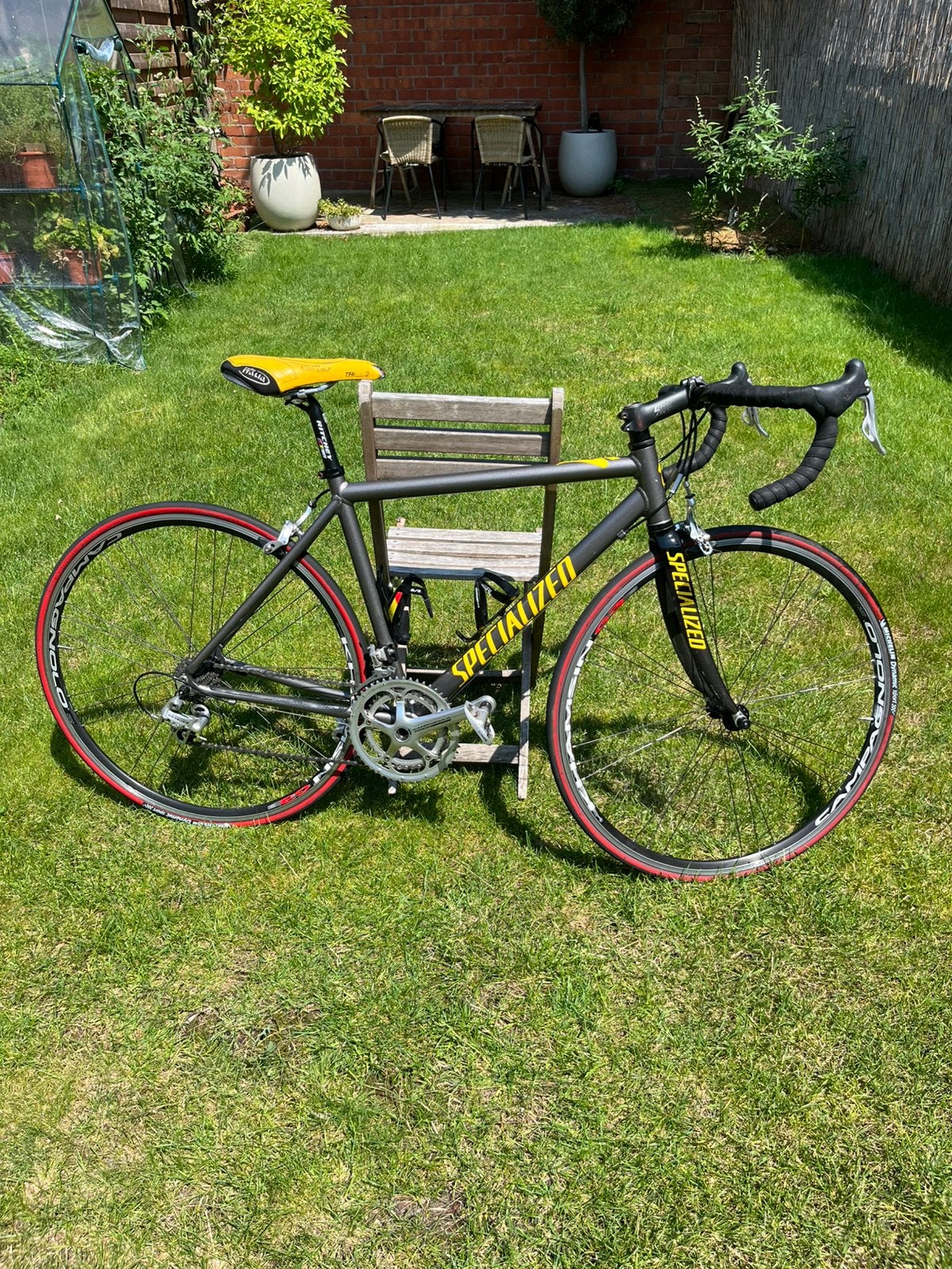 Specialized Racefiets-Campagnolo Veloce 10-speed, Gebruikt, 10 tot 15 versnellingen, Aluminium, 49 tot 53 cm