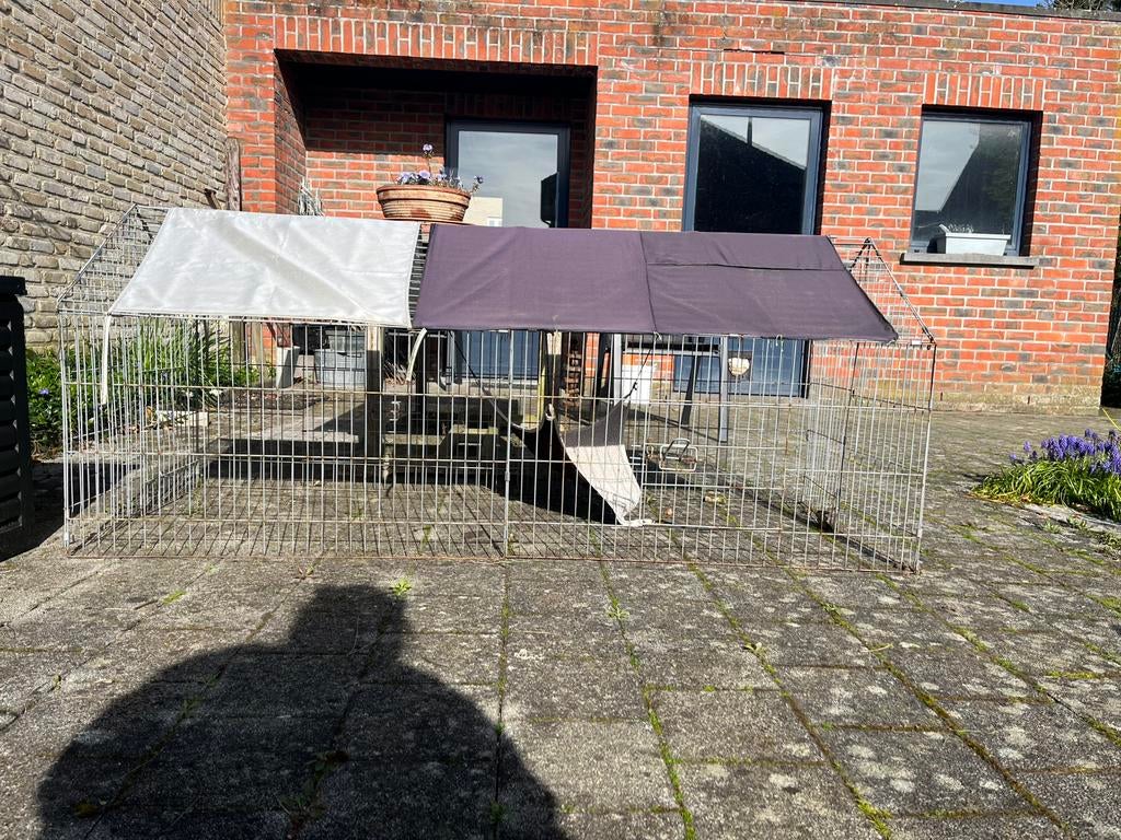 Cage extérieure pour cobayes, lapins..., Enlèvement, Cobaye