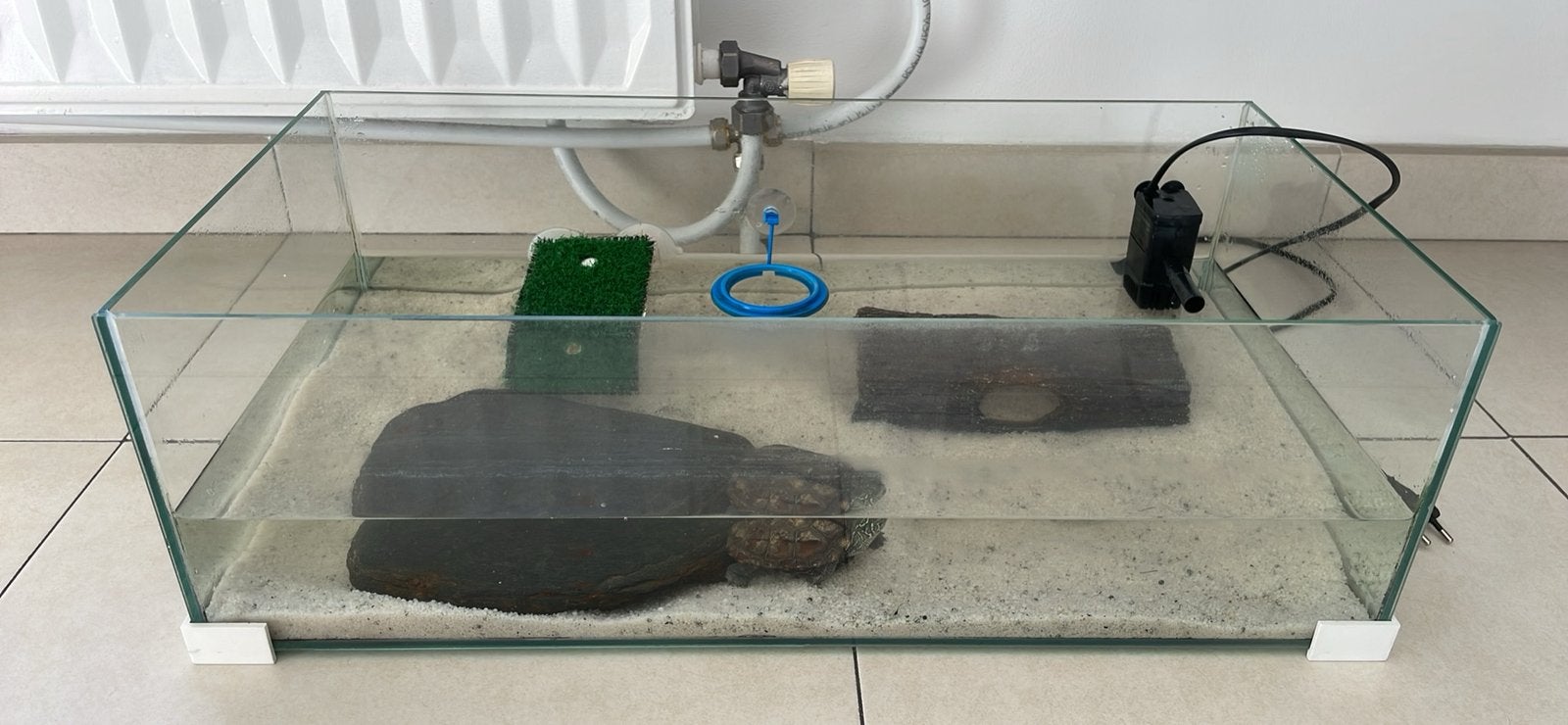 Aquarium voor schildpad, Enlèvement, Utilisé