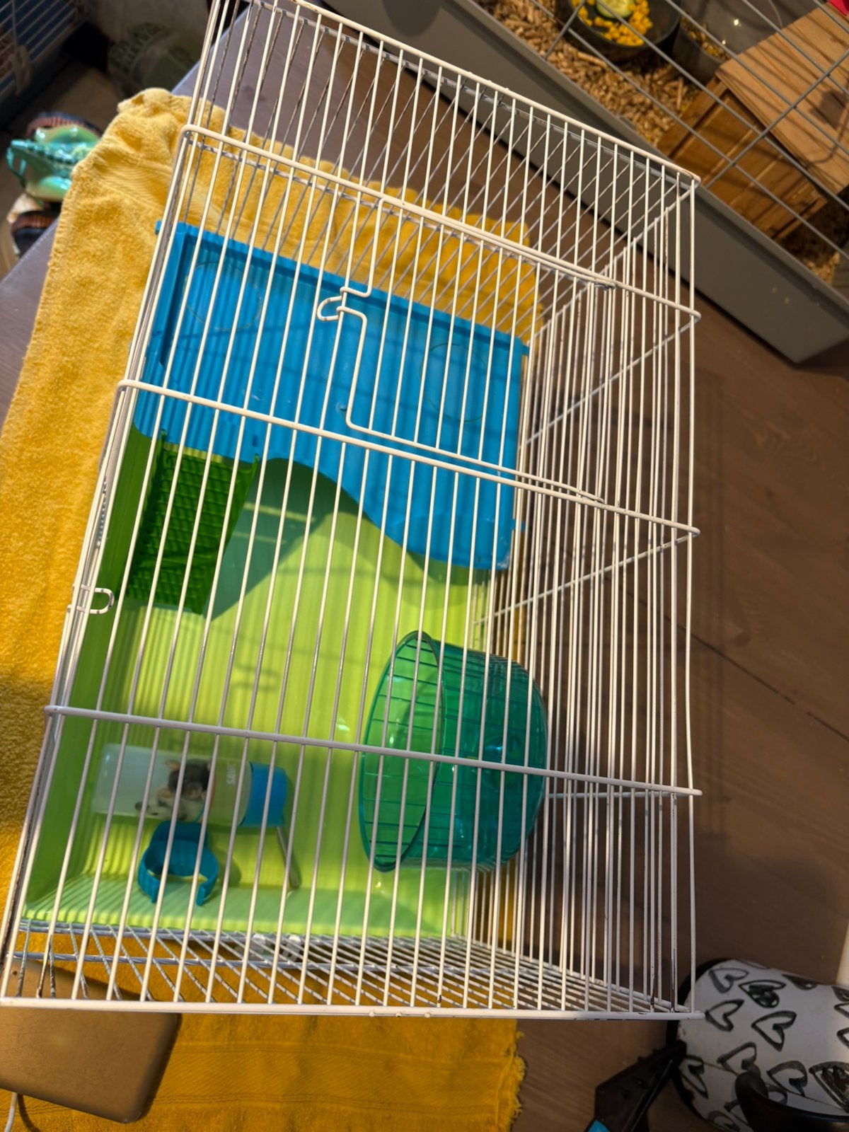 Hamsterkooi, Dieren en Toebehoren, Ophalen