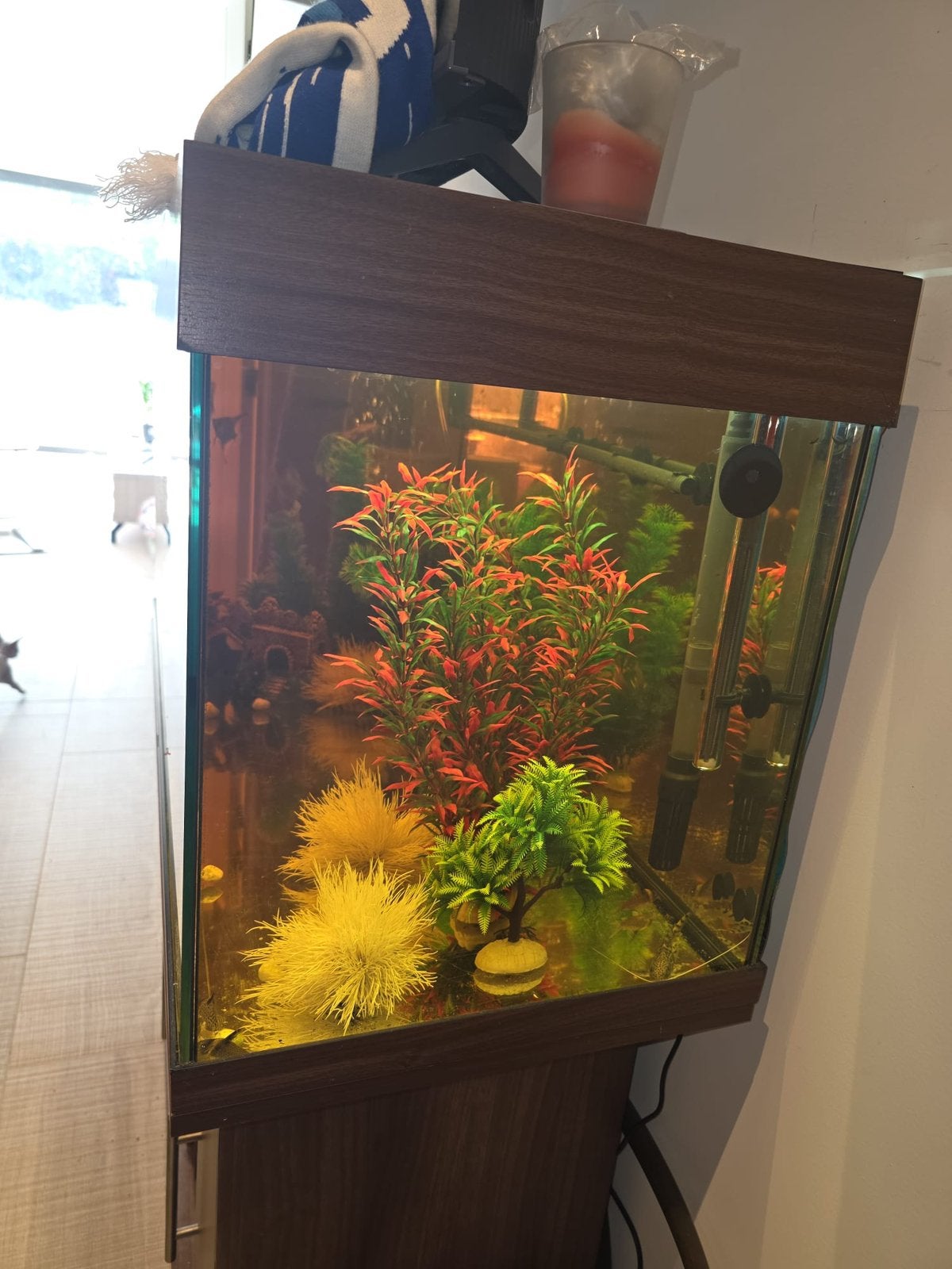 Aquarium te koop, Dieren en Toebehoren, Vissen | Aquaria en Toebehoren, Ophalen of Verzenden, Zo goed als nieuw, Juwel