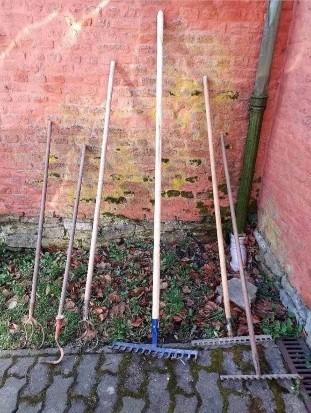 Lot de 6 outillages de jardin, Jardin & Terrasse