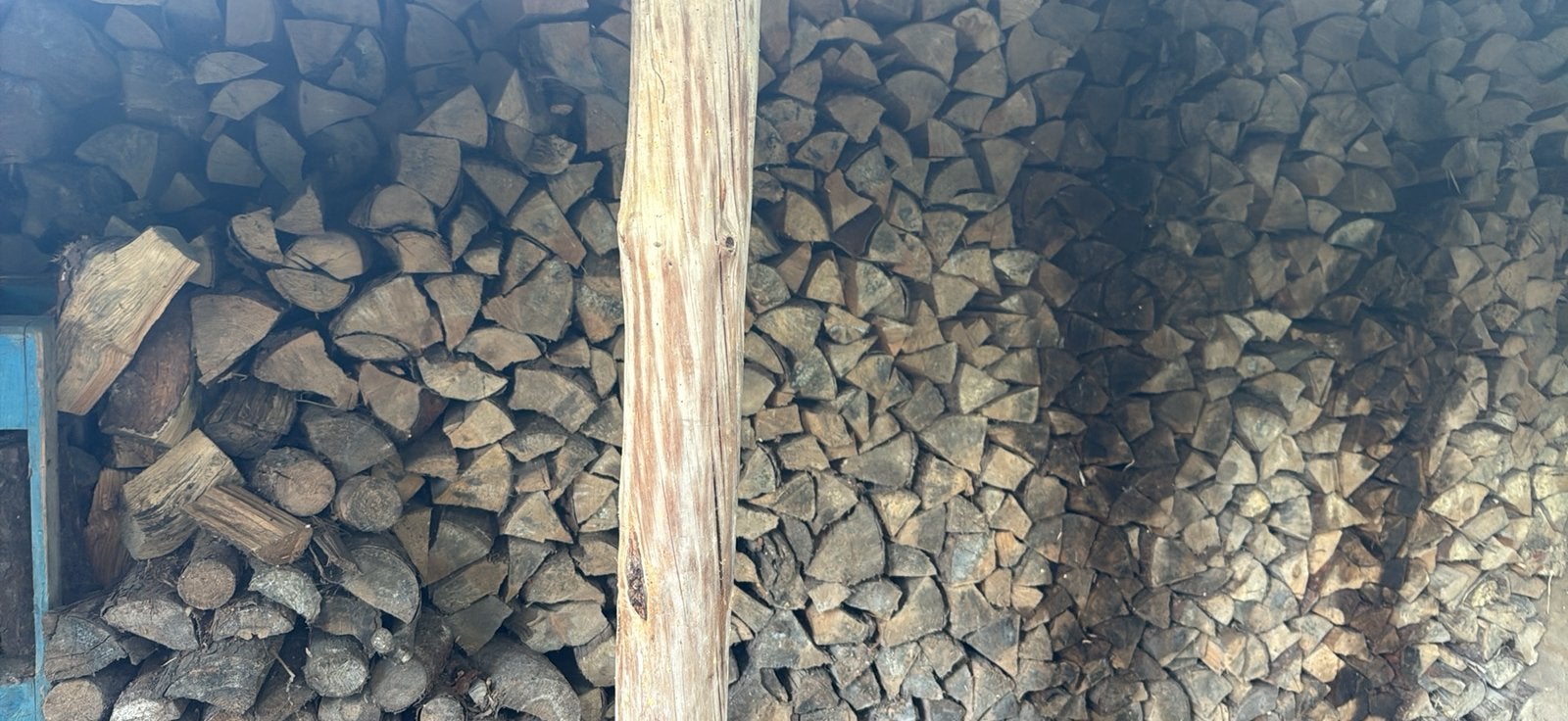 Stook hout Fruitboom - den en spar 3 jaar gedroogd, 6 m³ ou plus, Enlèvement, Autres essences de bois, Bûches