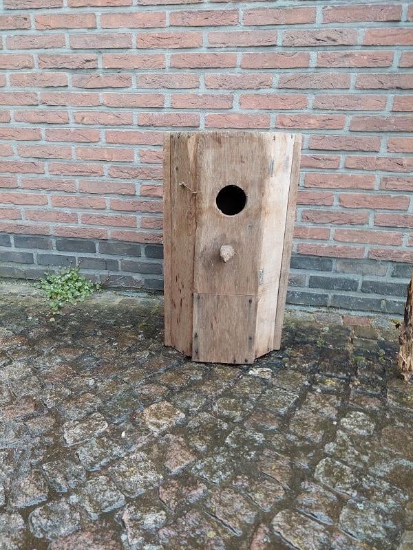 kweekbak grote vogels, Papegaai