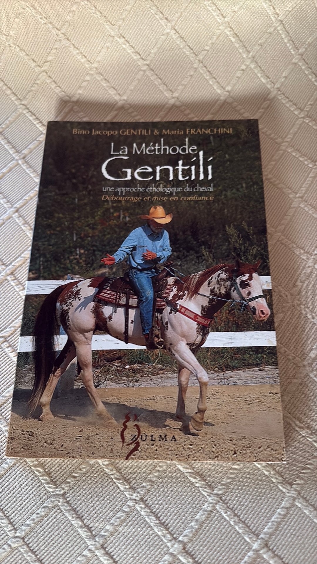 La méthode Gentili, Livres, Récits de voyage, Enlèvement, Comme neuf