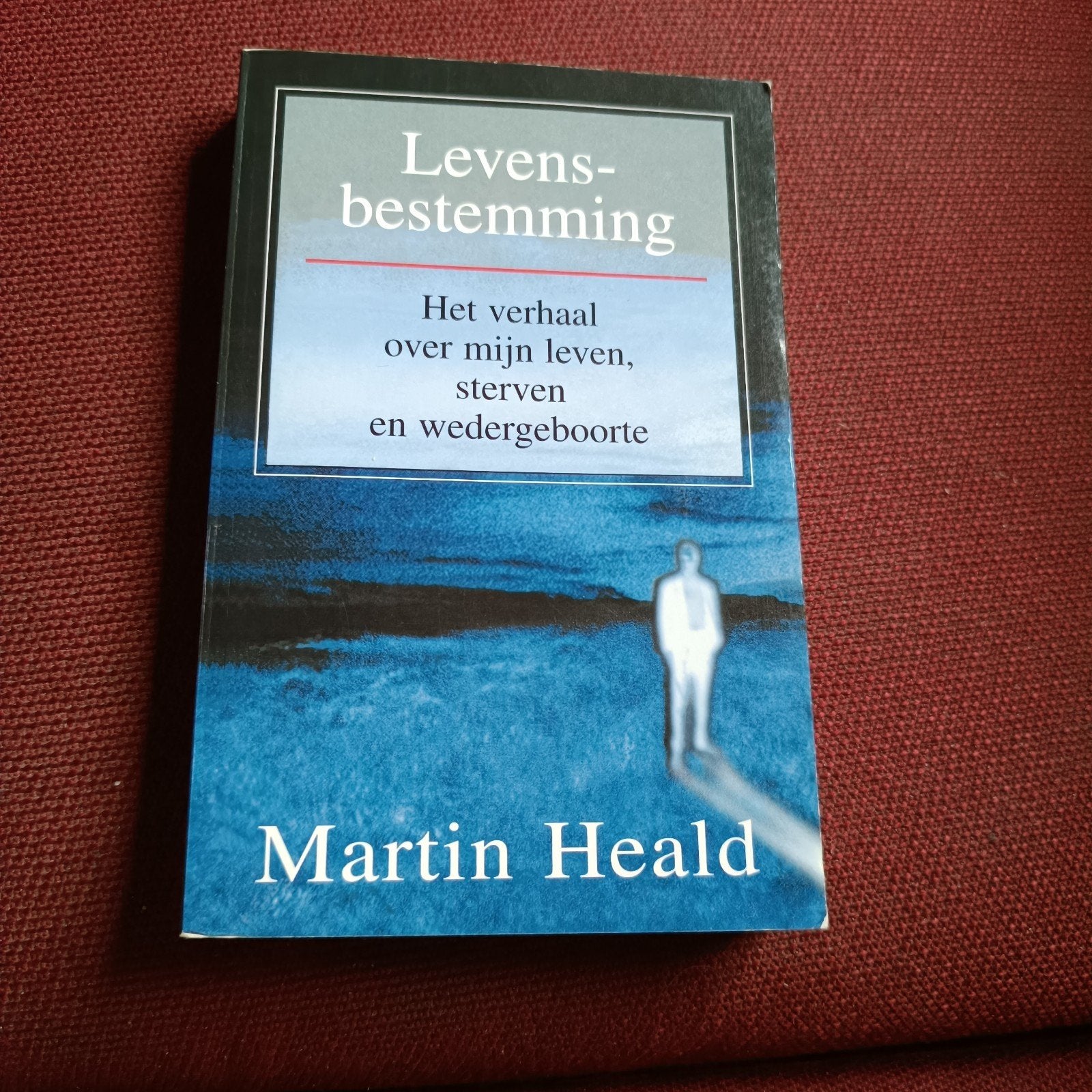 M. Heald - Levensbestemming, Livres, Ésotérisme & Spiritualité, Enlèvement ou Envoi, M. Heald