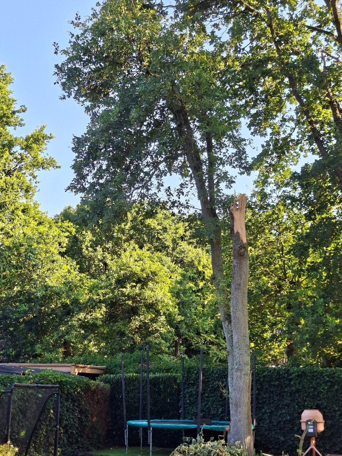 Tuinhulp, Ophalen of Verzenden