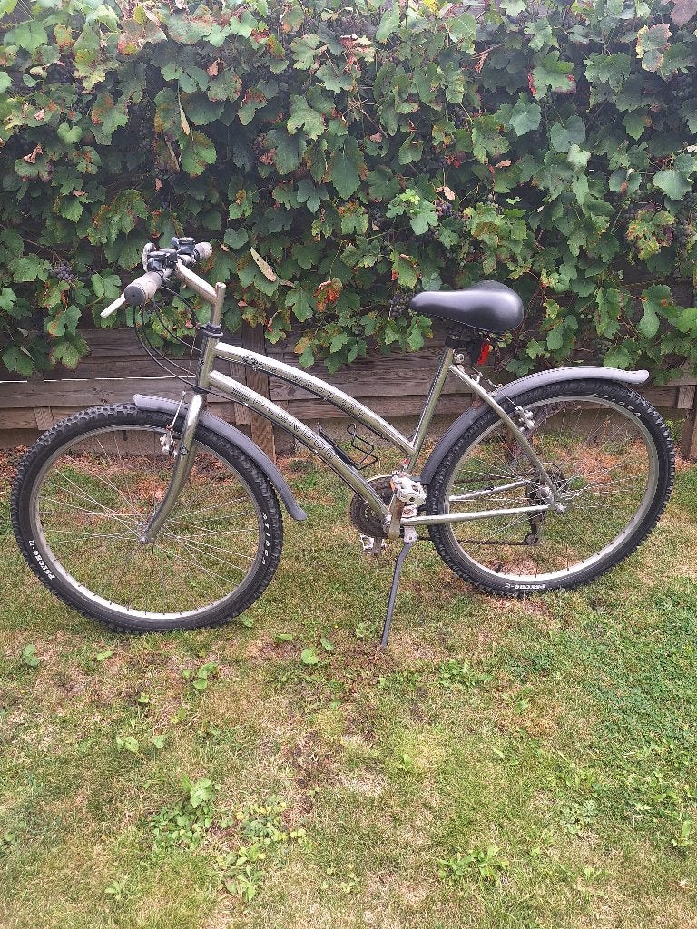 Fiets, Ophalen, Gebruikt, Velgrem, (Extra) lage instap