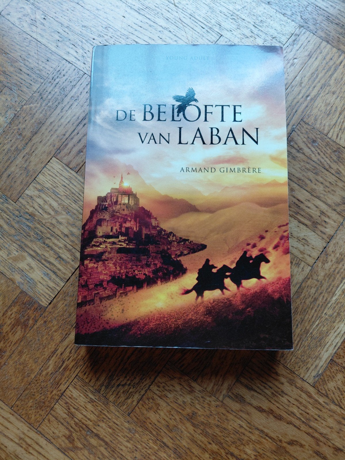 Armand Gimbrère: De belofte van Laban - Young Adult, Ophalen of Verzenden, Gelezen