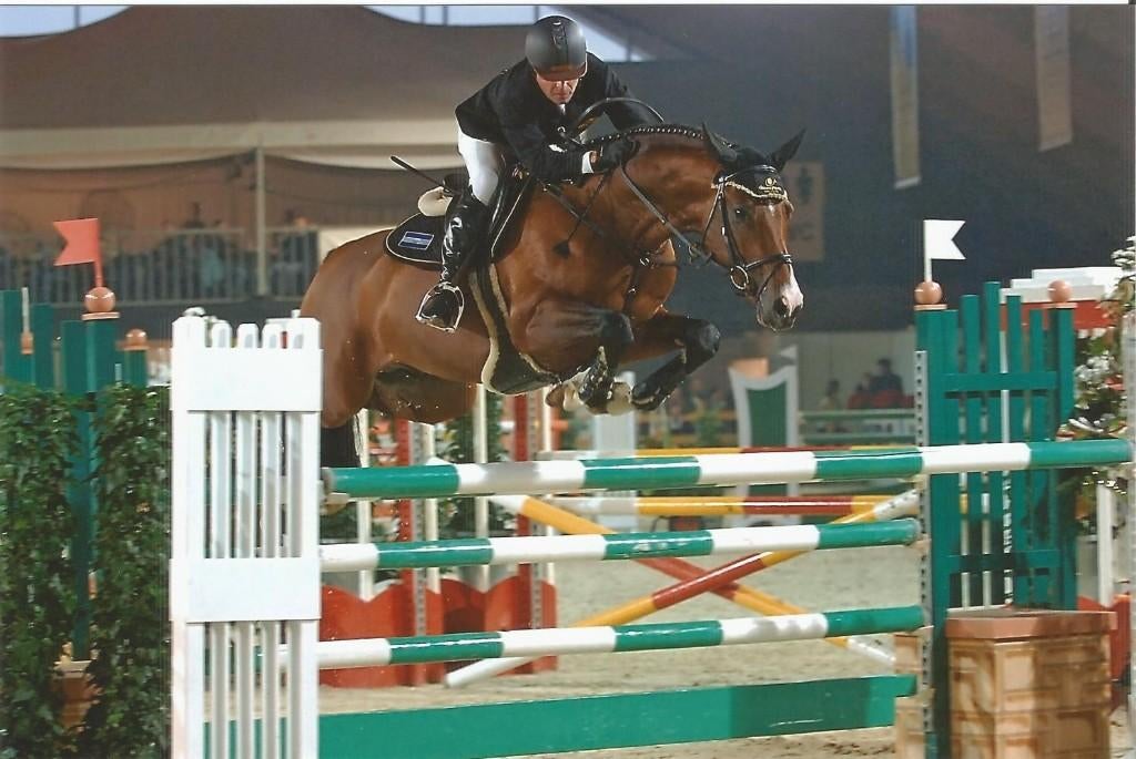 Jonge super fokmerrie, Dieren en Toebehoren, Paarden en Pony's | Dekhengsten en Fokmerries, Merrie